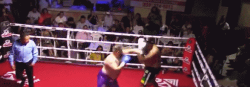 opchoako32fd2e234523432.gif