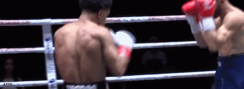 penatko32423fwwerf243.gif