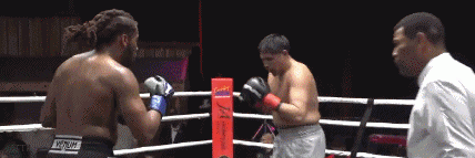 arellano233ewd23.gif