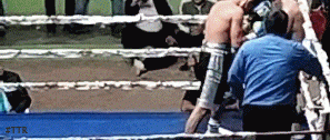 montoa13232dew23.gif
