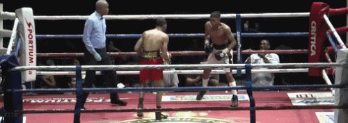 2h1b3123h12oh1o2312.gif