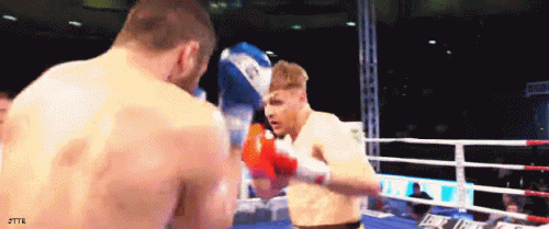 dmtroirwt32323223.gif