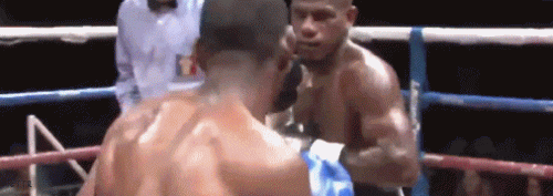 miniel21212edw2qqsae23.gif