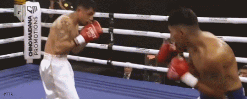 sciuto2r2edfw232.gif