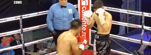 bestiako1213r23rwfsadf.gif