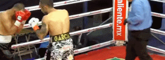 garci2ed2qw2q.gif