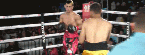 karlo2qewfdq2q.gif