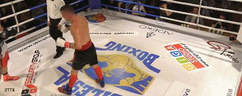 liseko333twres3223.gif