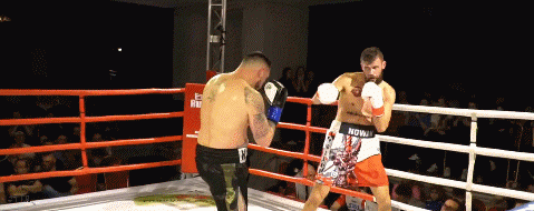 nowakko2323ko2323ko.gif