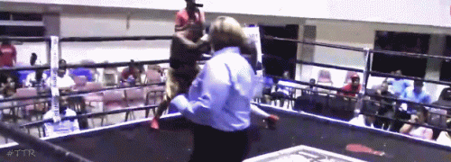 peralta3242f2.gif