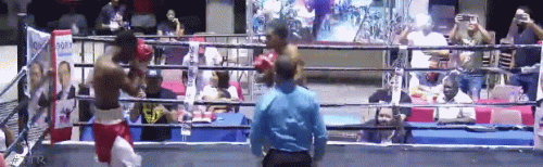 perez423we34rfwe.gif
