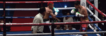 prtg2rwe212332.gif