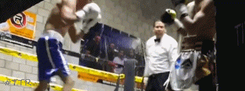rangel324r2qr3.gif
