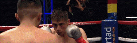 salcedo2232323.gif
