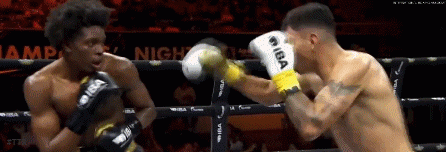 vabacal2323.gif