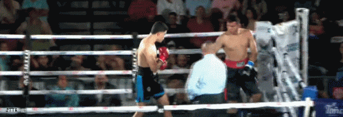 yairkto23rdf2333212edww.gif