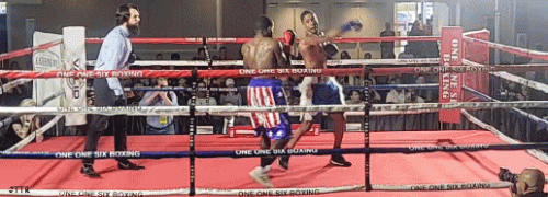 davisko23qwd232k3o.gif