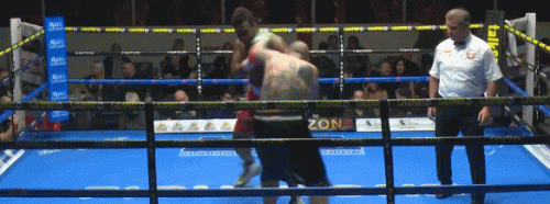 kingko23rqdek2o323.gif