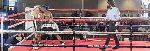 modleko233223ko22323.gif