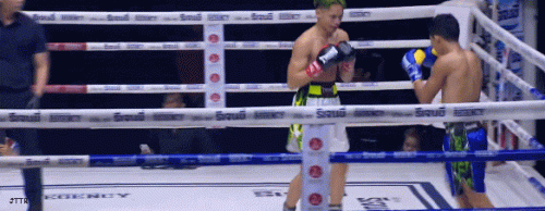 tippphol232dsq23.gif