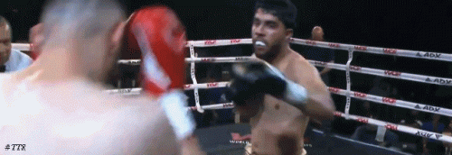 ortizktfo24r34tr43.gif