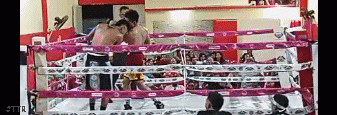 alan2qawdf23weaszd.gif