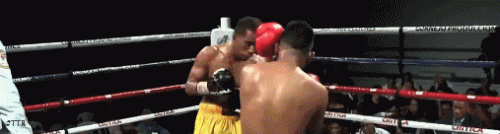 slsxcon2qws-w-ed.gif