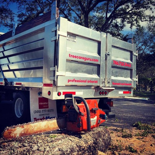 Arborist-Miami-FL.jpg