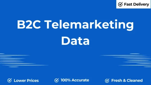 B2C-Telemarketing-Data.webp