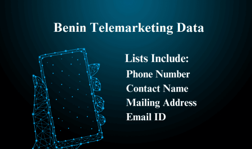 Benin-Telemarketing-Data299d7110ffdbfdd1.png