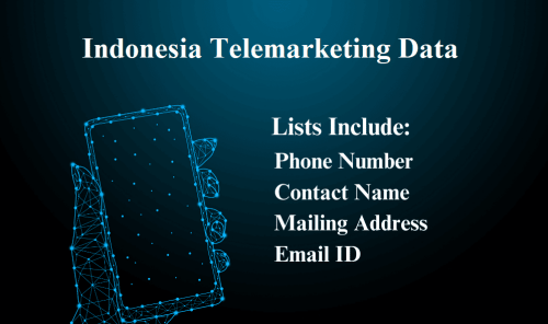 Indonesia-Telemarketing-Data7b0124bfb23ee7bc.png