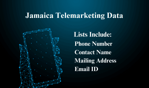 Jamaica-Telemarketing-Data.png