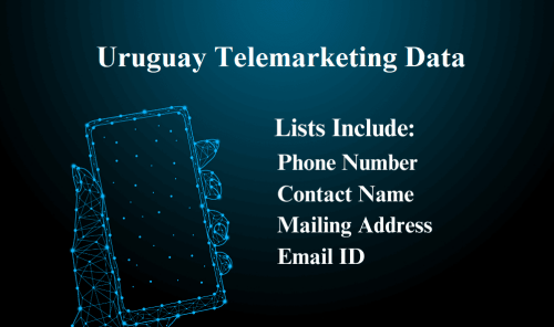 Uruguay-Telemarketing-Data_19ab9a98763a8e1a4.png